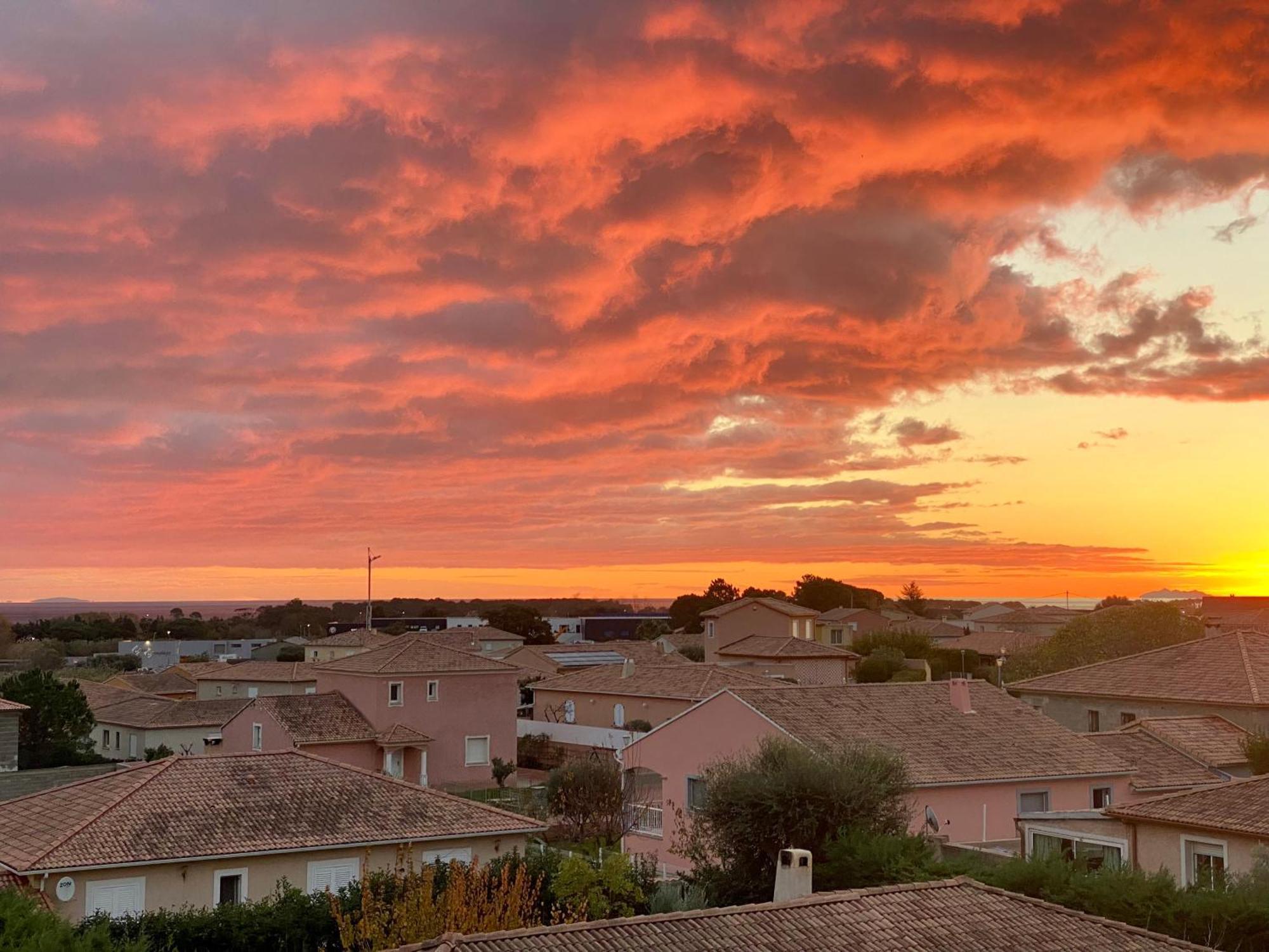 Charmant T2 Au Coeur De La Ville Furiani Buitenkant foto